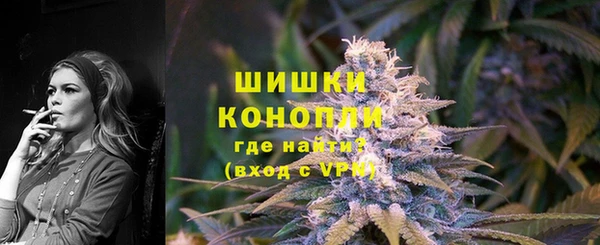 PSILOCYBIN Бежецк