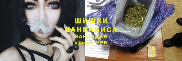 PSILOCYBIN Бежецк