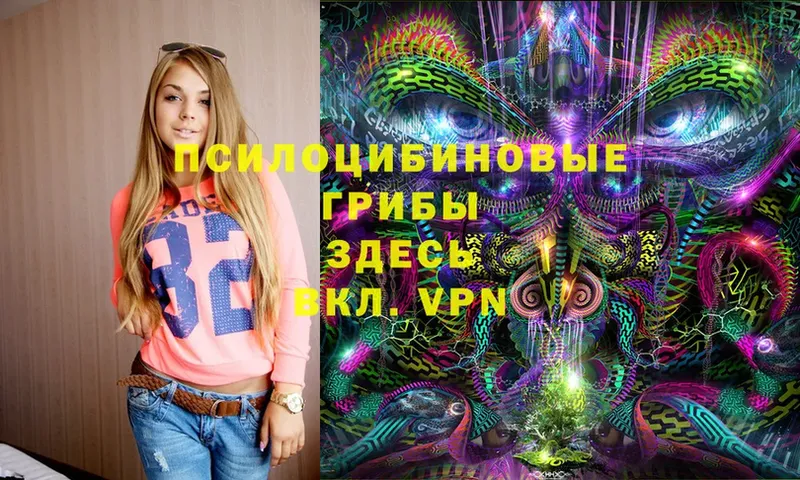 Галлюциногенные грибы MAGIC MUSHROOMS  закладка  Биробиджан 