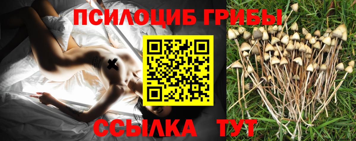 Биробиджан  Псилоцибиновые грибы MAGIC MUSHROOMS  Вход с VPN 