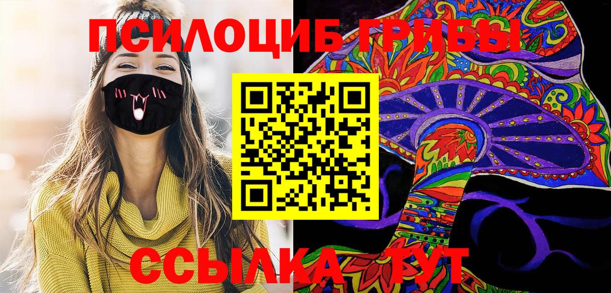 Галлюциногенные грибы Psilocybe Биробиджан