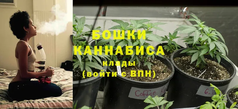 Каннабис Bruce Banner  hydra вход  Биробиджан 