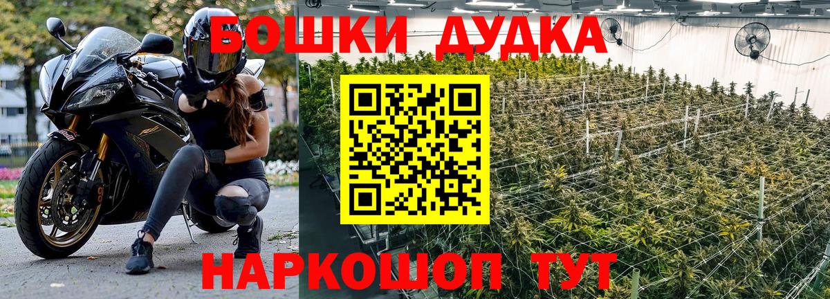 Бошки Шишки Amnesia Биробиджан